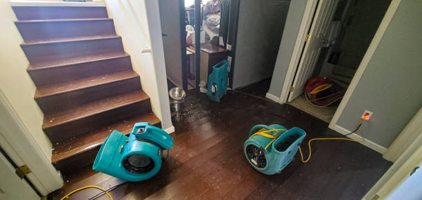 Best 24-hour water damage restoration  in Litchfield, MI