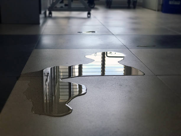 Best Local water damage restoration  in Litchfield, MI