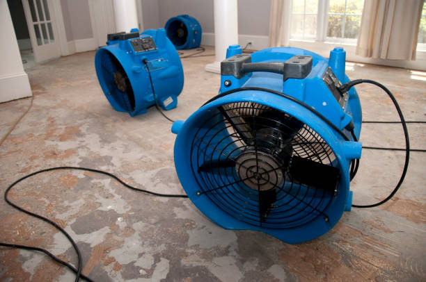  Litchfield, MI Water damage restoration Pros